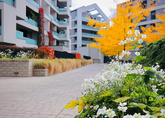 Apartment Modern • Garden • Near The Center *